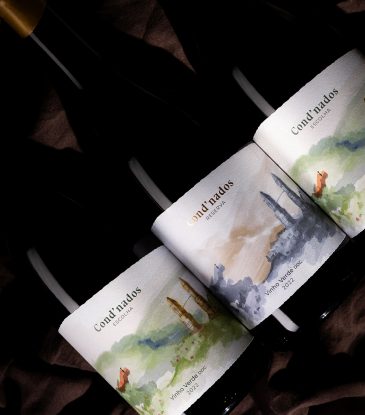 Portfólio_Cond'nados